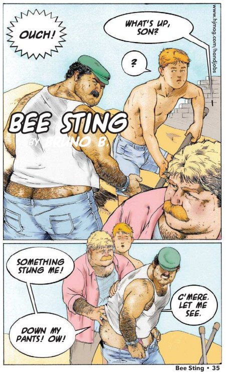 Bruno B - Bee Sting Porn Comics