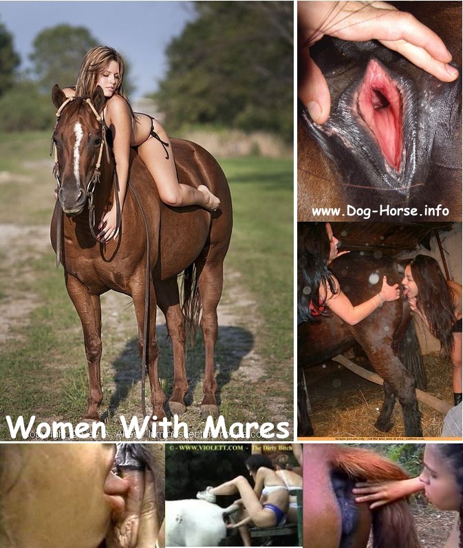Women With Mares - Animal Porn Bestiality Collection. 