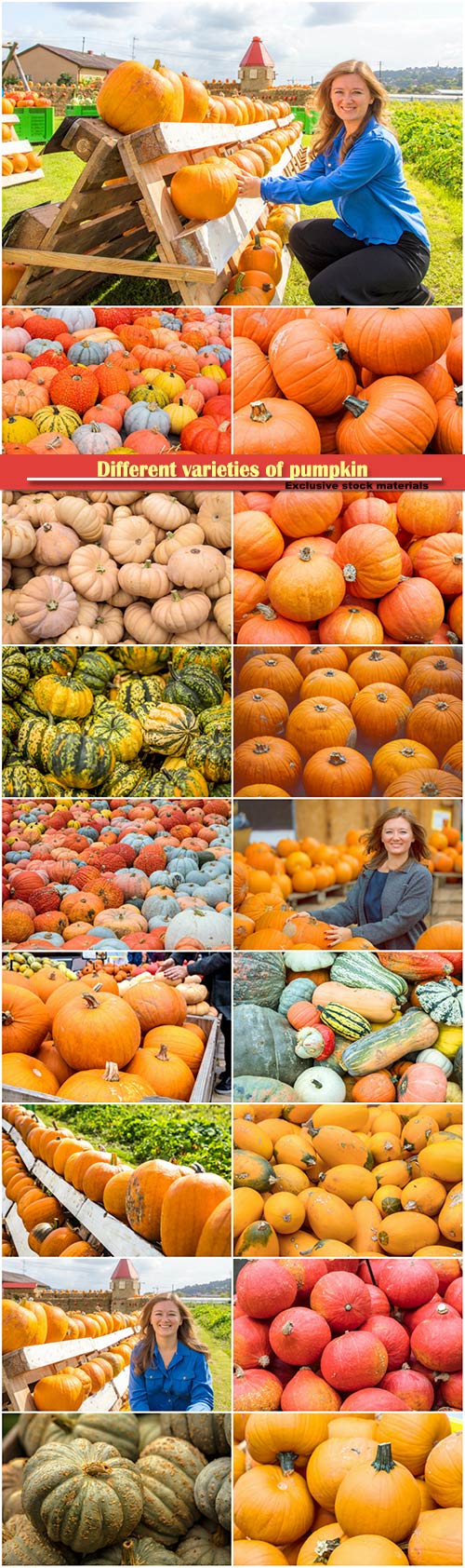 Different varieties